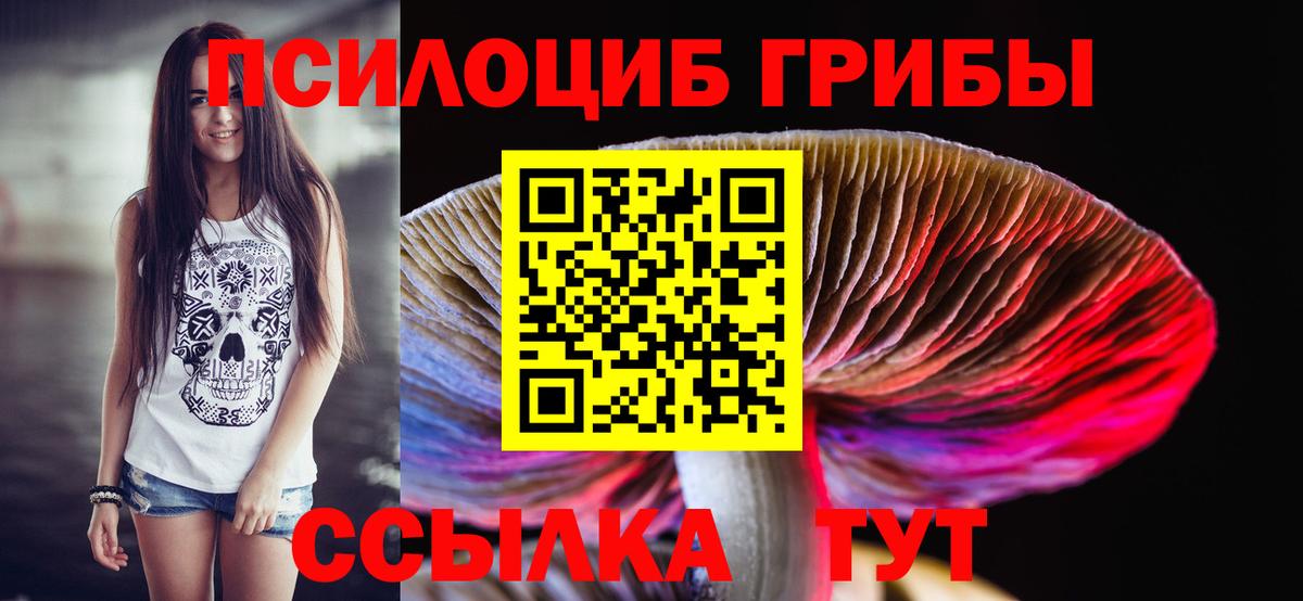 Галлюциногенные грибы Psilocybine cubensis  Вход с VPN  Кумертау  Псилоцибиновые грибы MAGIC MUSHROOMS 